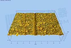 1600222693985270.jpg litixingmao-12.jpg